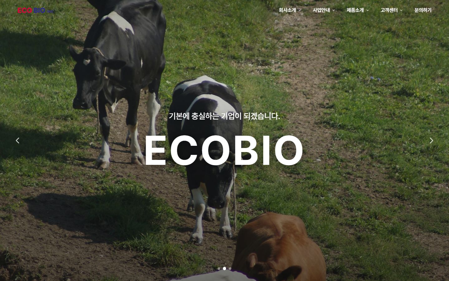 ECOBIO 템플릿